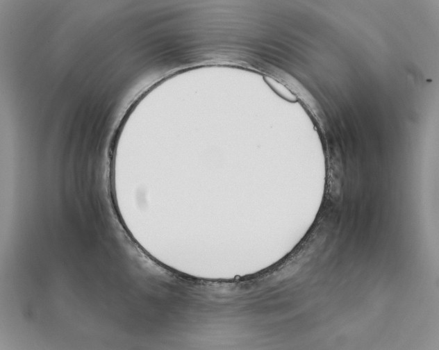 X0000111431096200908241116