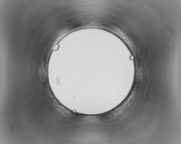 X0000111431097200908241116
