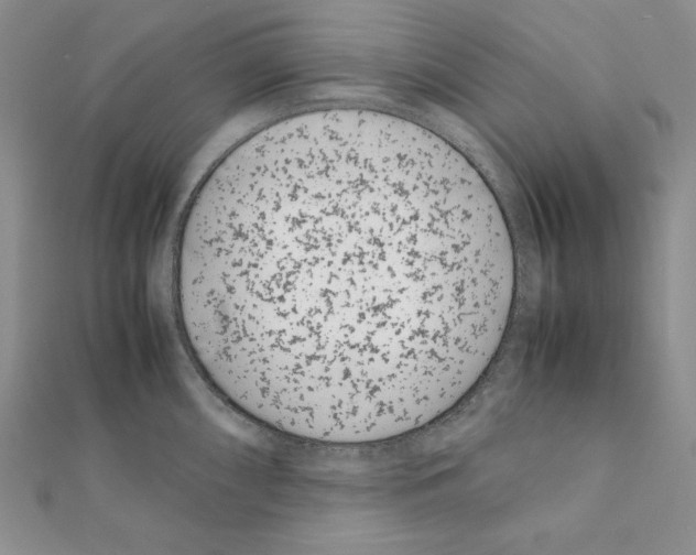 X0000111431098200908241116