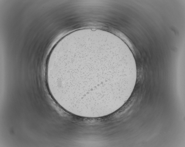 X0000111431099200908241116