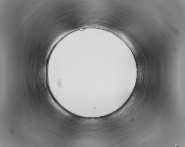 X0000111431100200908241116