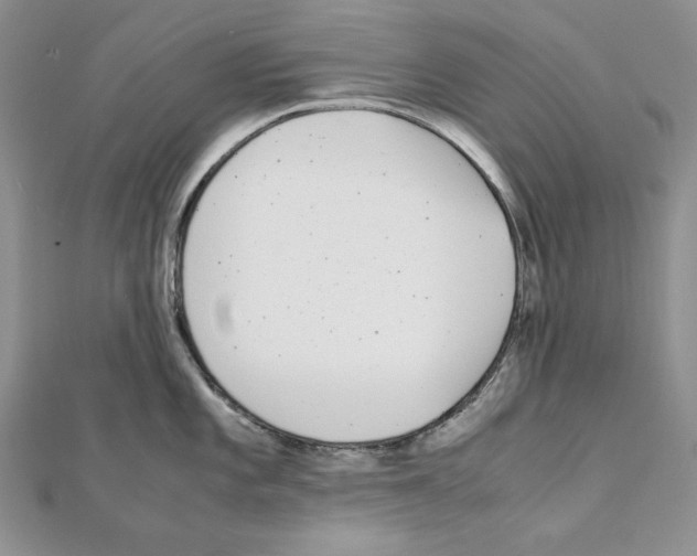 X0000111431101200908241116