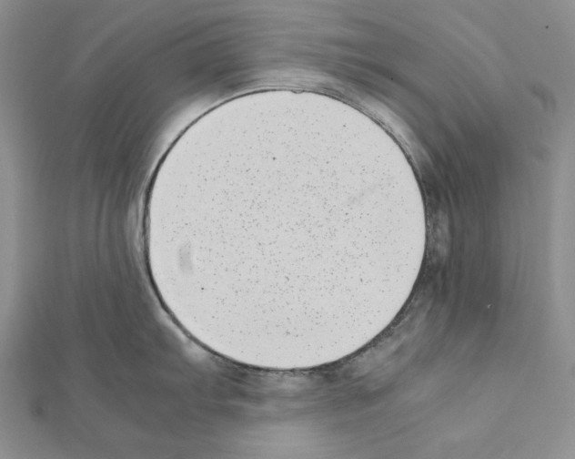 X0000111431103200908241116