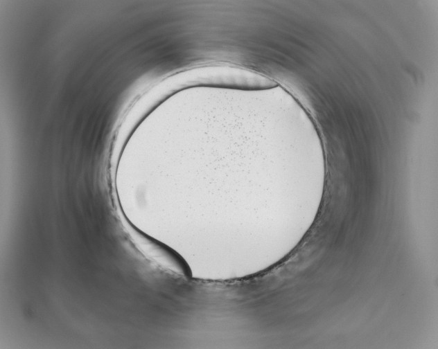 X0000111431104200908241116