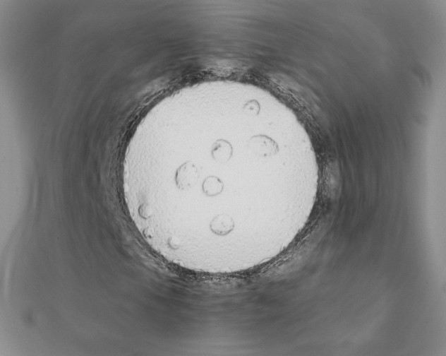 X0000111431105200908241115