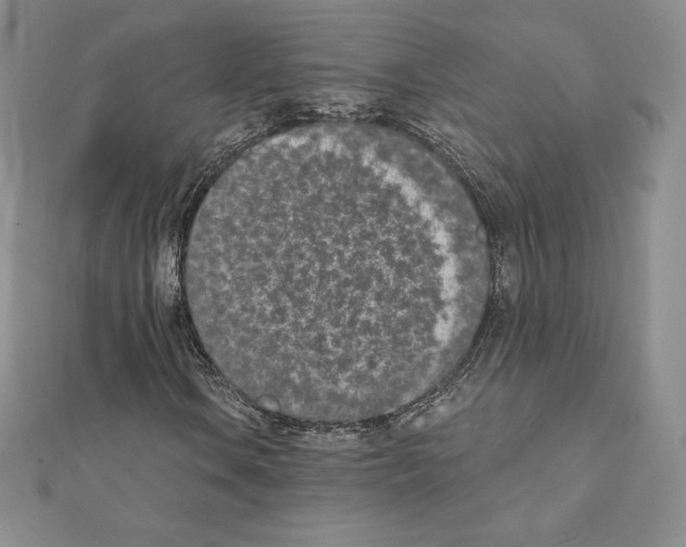 X0000111431106200908241116