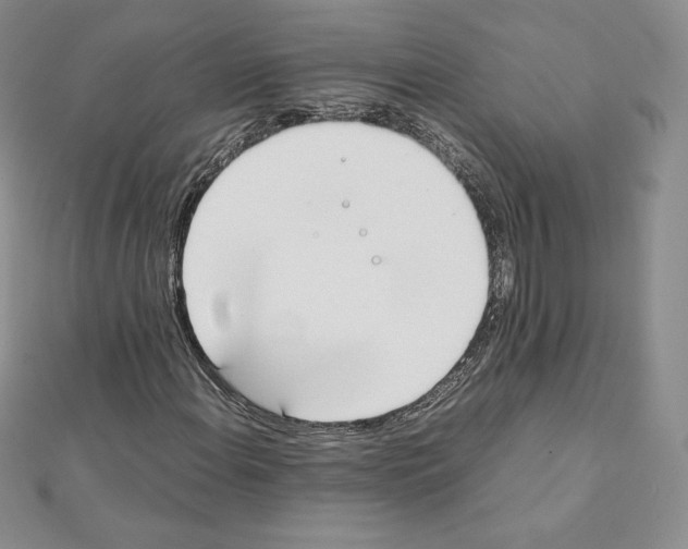 X0000111431108200908241116