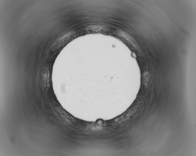 X0000111431111200908241116