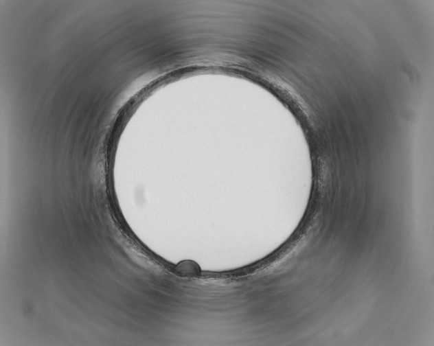 X0000111431114200908241116