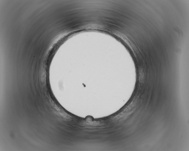 X0000111431115200908241116