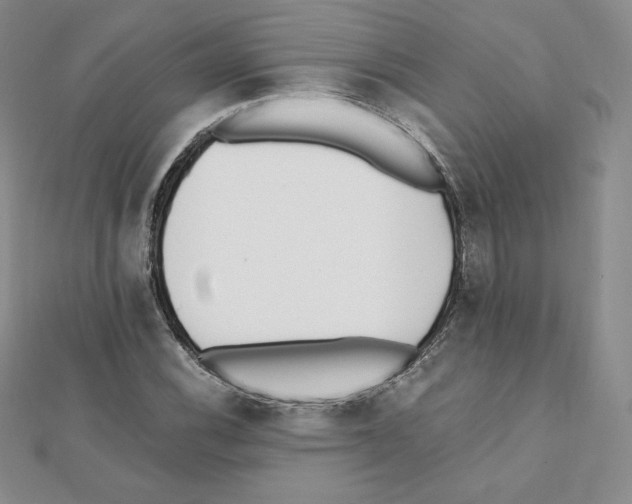 X0000111431116200908241116