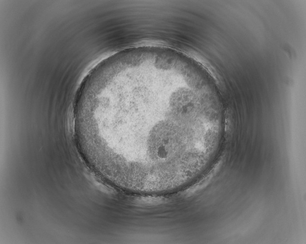 X0000111431117200908241116