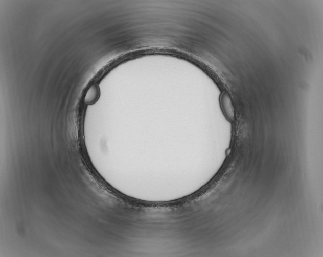 X0000111431118200908241116