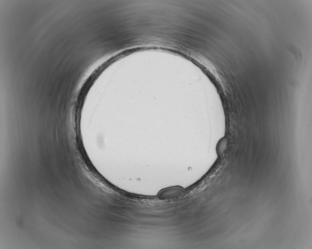 X0000111431120200908241116