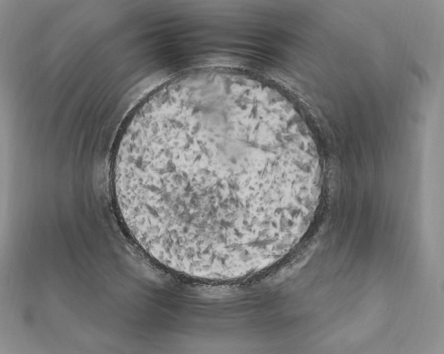 X0000111431121200908241116