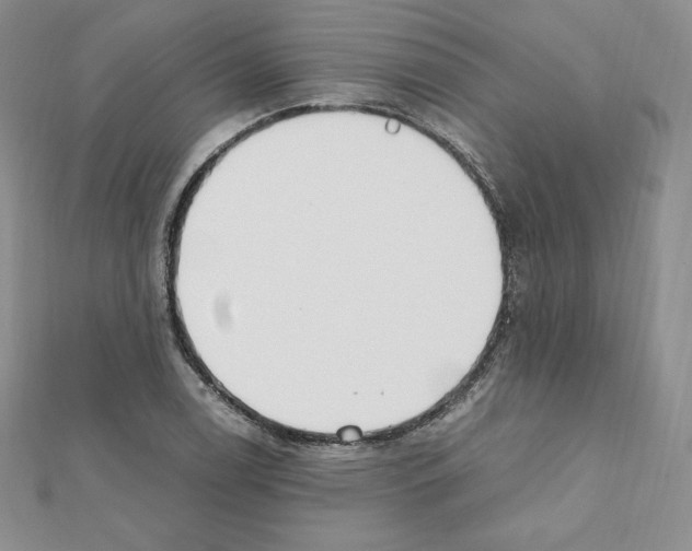 X0000111431122200908241116