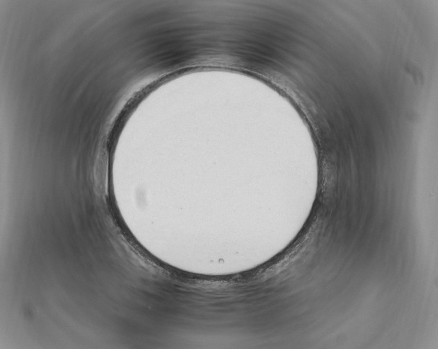 X0000111431123200908241116