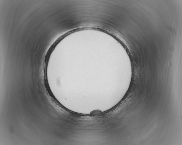 X0000111431124200908241116