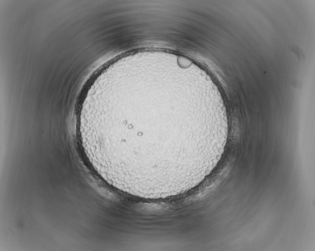 X0000111431125200908241116