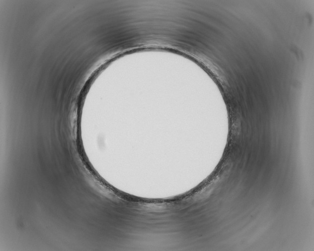 X0000111431126200908241116