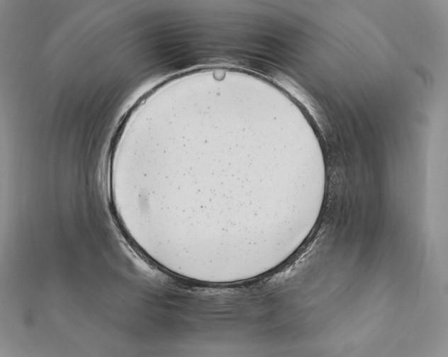 X0000111431127200908241116