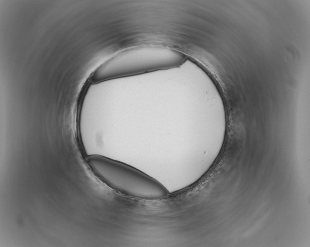X0000111431128200908241116