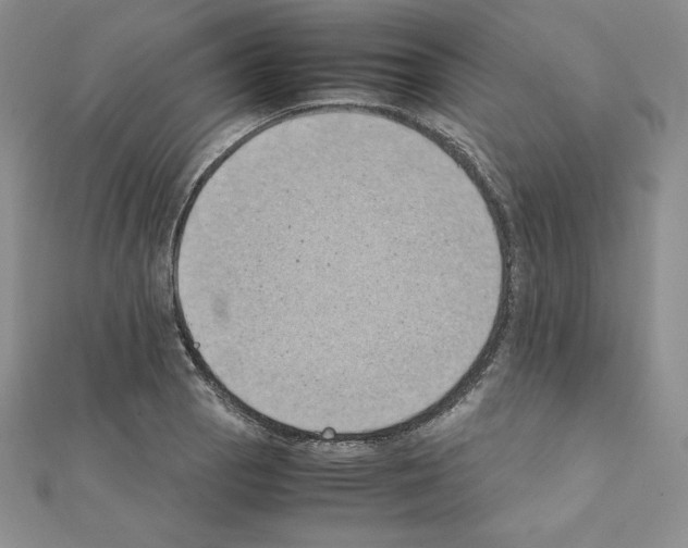 X0000111431129200908241116