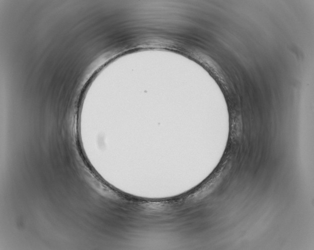 X0000111431130200908241116