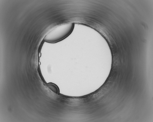 X0000111431132200908241116