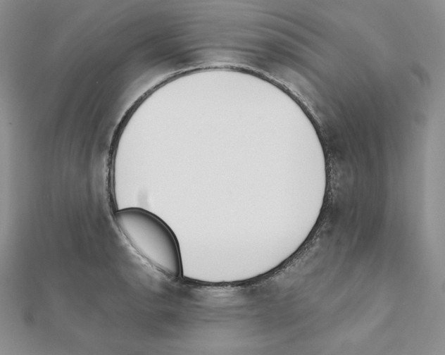 X0000111431134200908241116