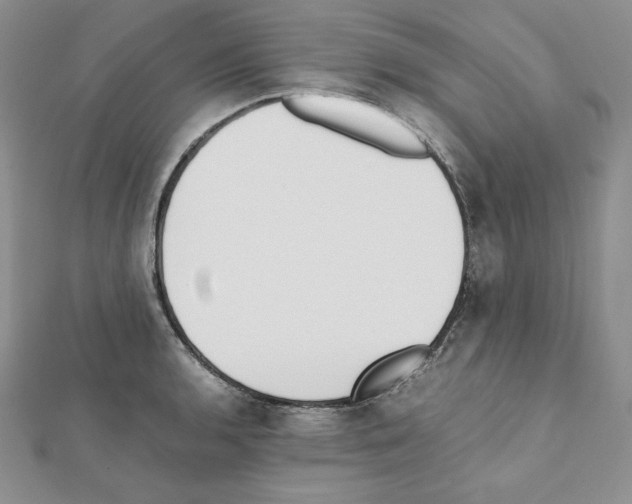 X0000111431136200908241116