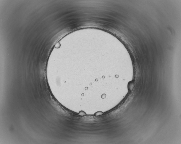 X0000111431137200908241116
