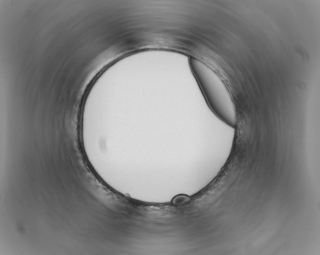 X0000111431138200908241116
