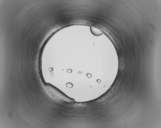 X0000111431139200908241116