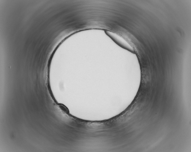 X0000111431140200908241116