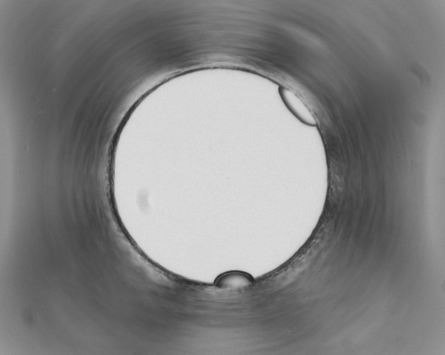 X0000111431142200908241116