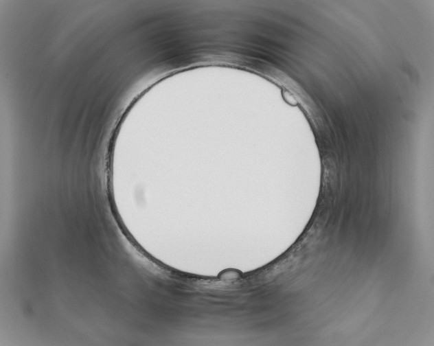 X0000111431143200908241116