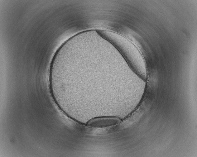 X0000111431144200908241116