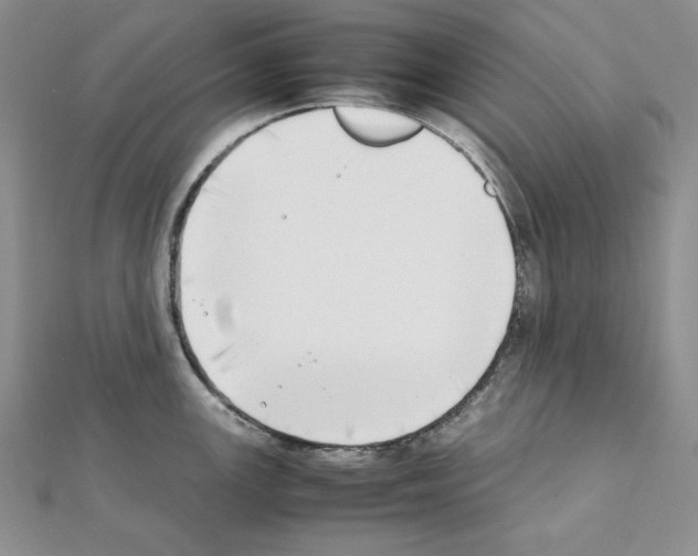 X0000111431147200908241116