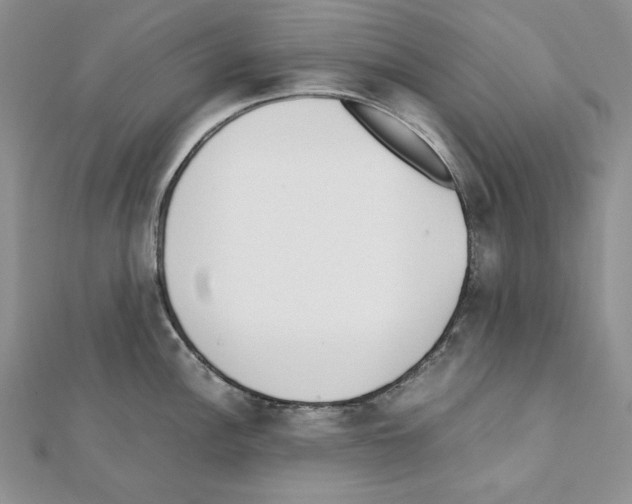 X0000111431148200908241116