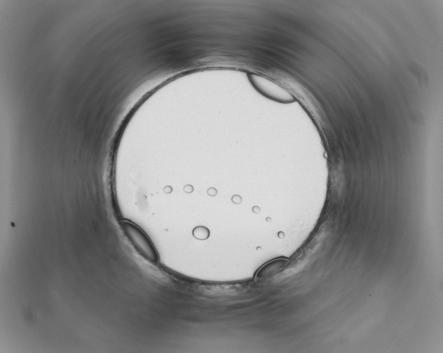 X0000111431149200908241116