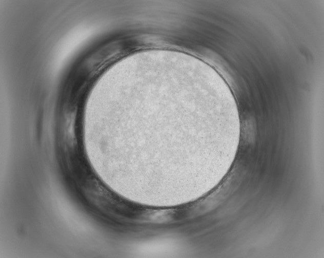 X0000111431150200908241116