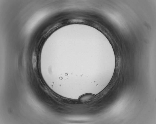 X0000111431151200908241116
