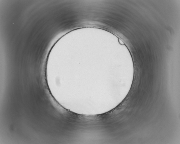 X0000111431152200908241116