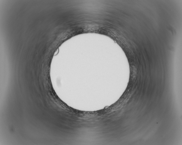 X0000111431153200908241115
