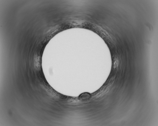 X0000111431156200908241115