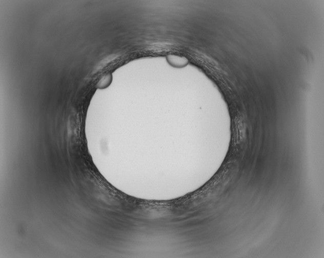 X0000111431158200908241115