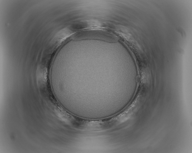 X0000111431161200908241115