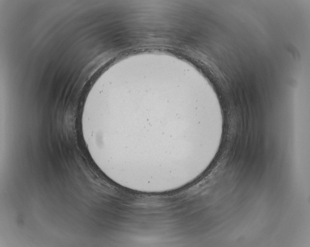 X0000111431162200908241115