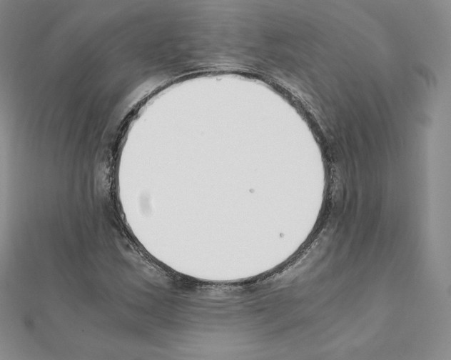X0000111431163200908241115